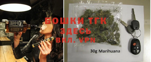 индика Баксан
