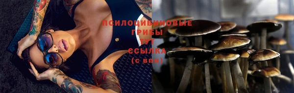 спайс Балабаново