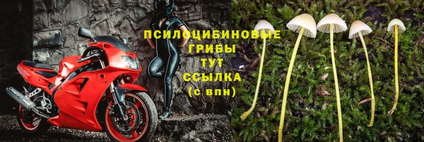 спайс Балабаново