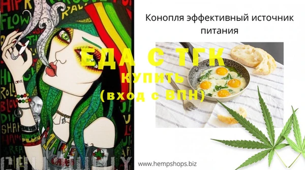 индика Баксан