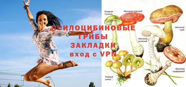 гидра Балахна